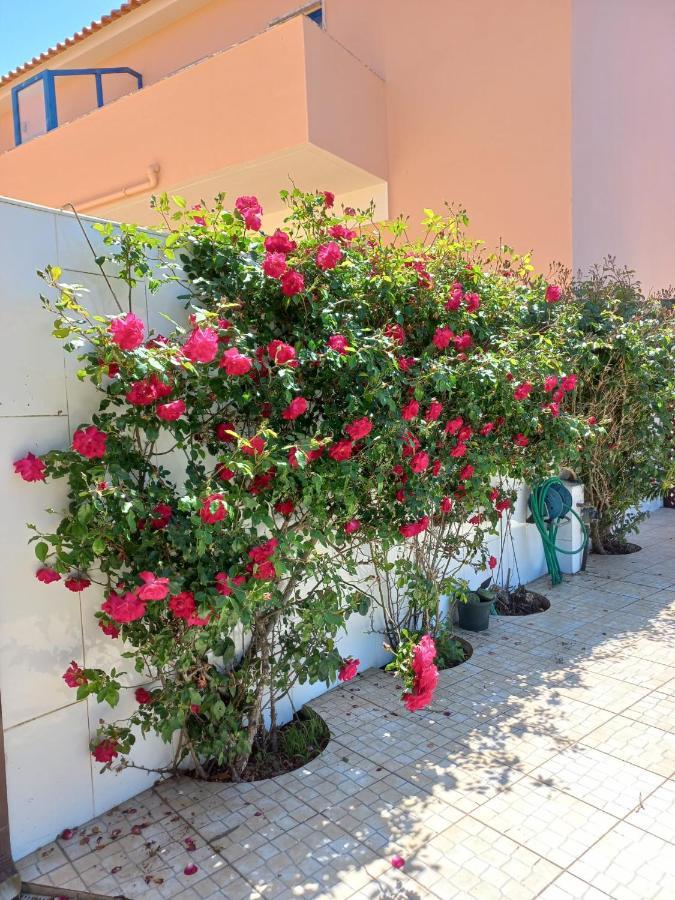 Casa Do Portao Azul - Salmonete Apartman Atouguia Da Baleia Kültér fotó